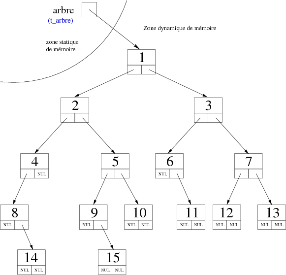 Fichier:Type arbre binaire dynamique.png