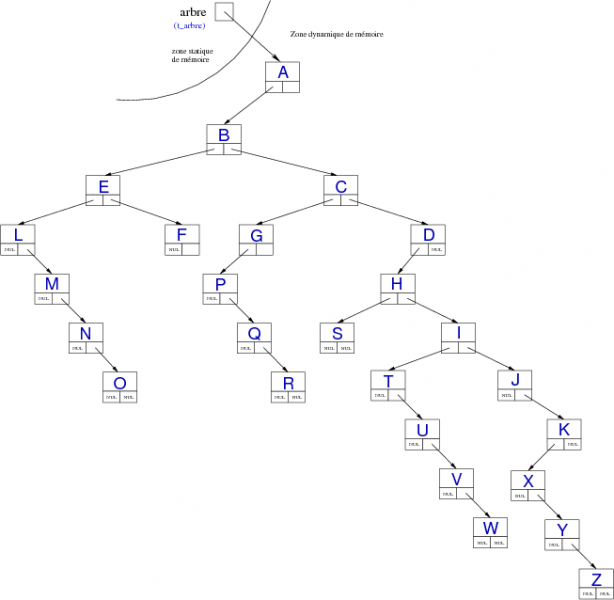 Fichier:Type arbre premierfils freredroit.png